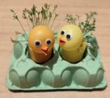 IMG_20260307_200716 (1).jpg